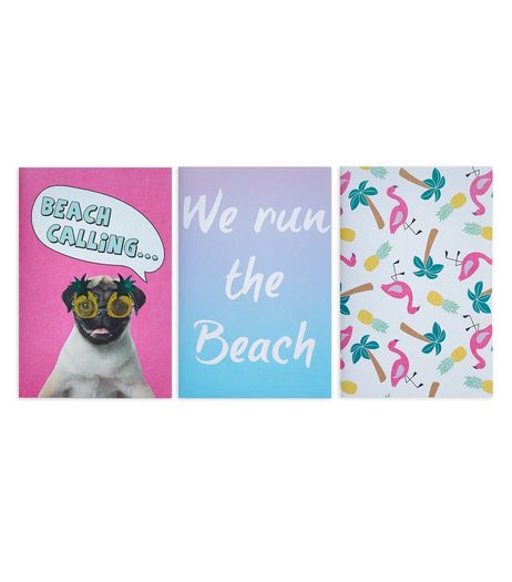 3 Pack Multicoloured Beach Pug Notebooks | New Look