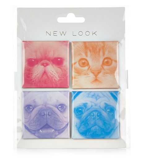 4 Pack Multicoloured Animal Print Magnets | New Look