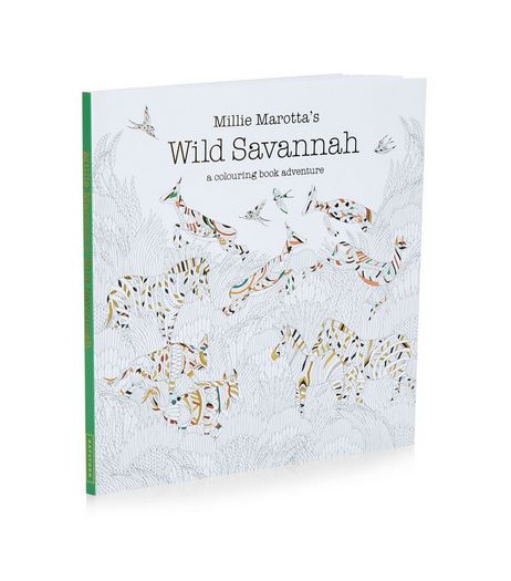 Wild Savanna Colouring Book | New Look