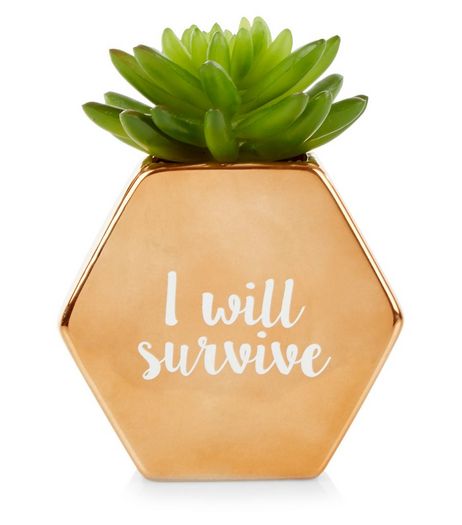Gold I Will Survive Artificial Plant | New Look