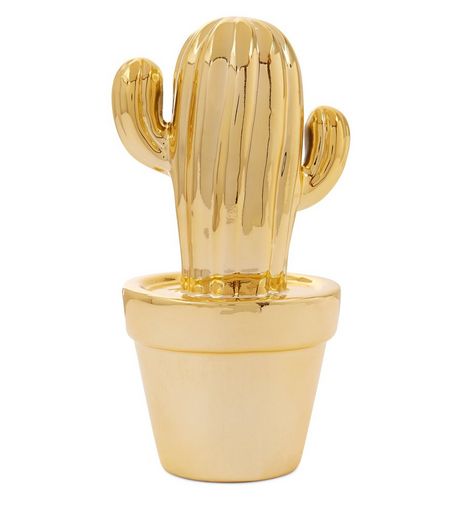 Gold Cactus Money Box | New Look