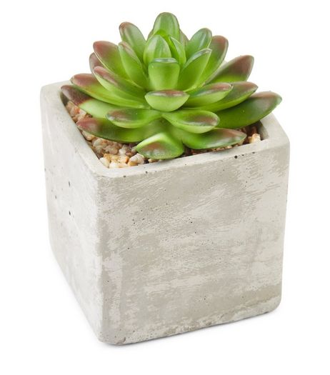 Grey Concrete Mini Artificial Spikey Plant | New Look