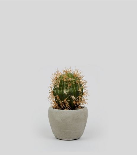 Artificial Cactus Plant | New Look
